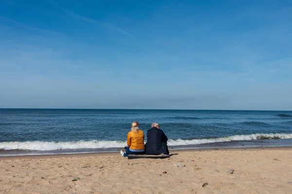 Пожилая пара, сидящая на берегу моря с маленькой собачкой, вид сзади — стоковое фото