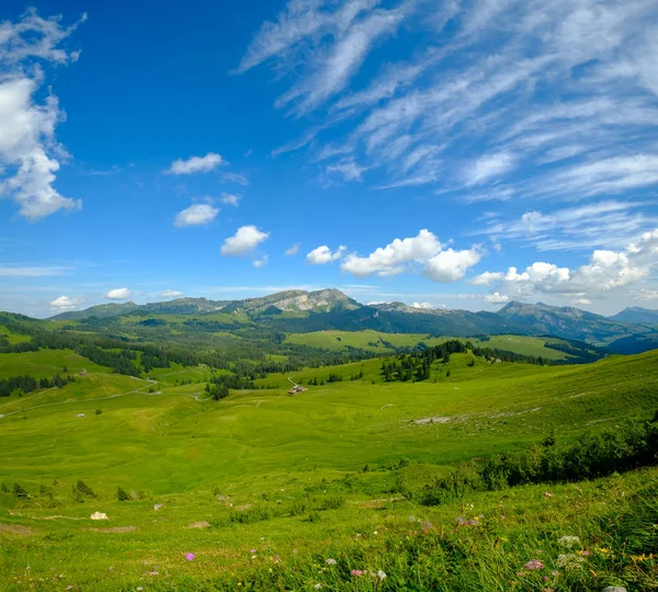 Yaz saati dağ doğa panoramik manzarası — Stok fotoğraf