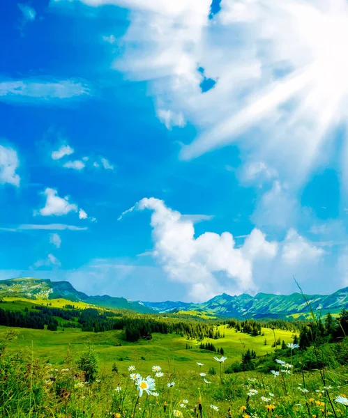 Nyáron hegyi természet panorámás táj — Stock Fotó