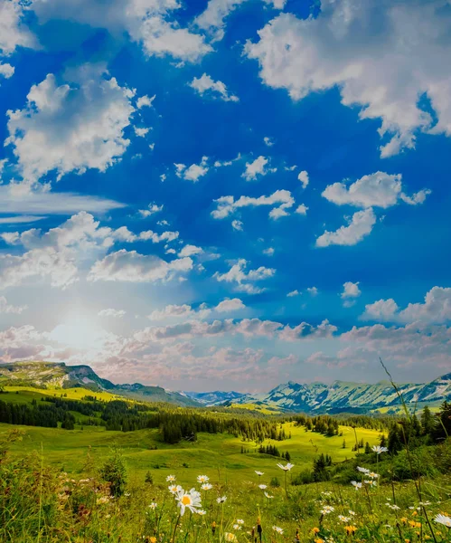 Yaz saati dağ doğa panoramik manzarası — Stok fotoğraf