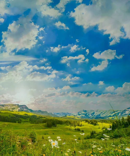 Tiempo de verano montaña naturaleza paisaje panorámico —  Fotos de Stock