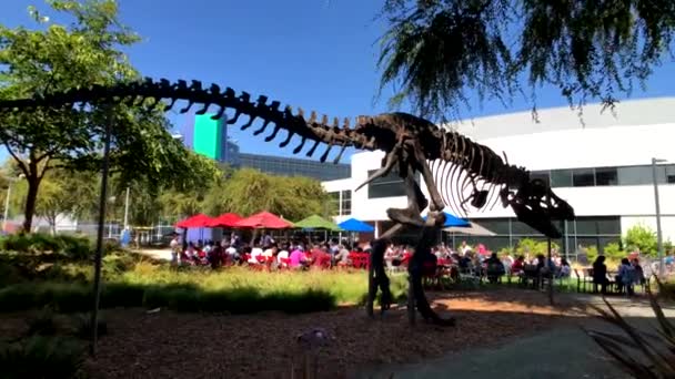 Dipendenti che lavorano all'aperto presso la sede centrale di Googleplex — Video Stock