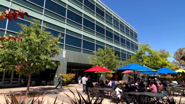 Dolgozó szabadban on Googleplex-parancsnokság központi iroda — Stock videók