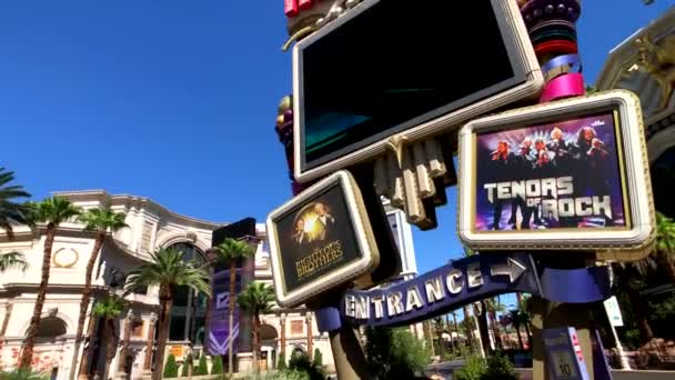 Touristes visitant les sites touristiques à l'heure du jour ensoleillé — Video