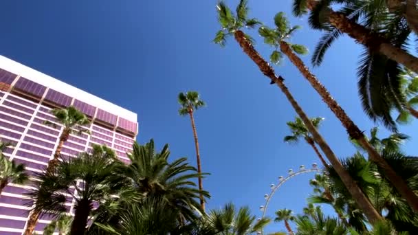 Vue du bas des palmiers et du bâtiment de l'hôtel contre le ciel bleu . — Video