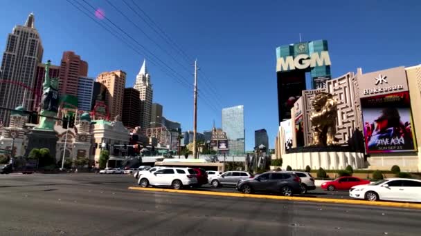 Tourists visiting the sights at sunny day time — Stock Video