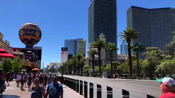 Touristes visitant les sites touristiques à l'heure du jour ensoleillé — Video