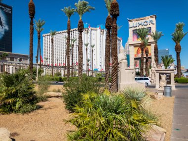 Güneşli bir gün zaman turistik yerleri ziyaret turistler