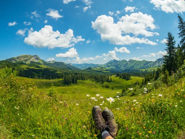 Summer time mountain nature panoramic landscape near Habkern, Switzerland — Stock Photo, Image