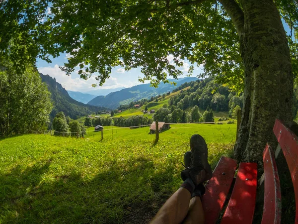 Bench onder een boom op een heuvel. Bergdorp op de achtergrond. Zwitserland zomer landschap — Stockfoto