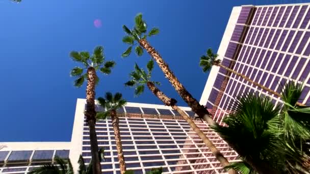 Vista inferior a palmeras y edificio del hotel contra el cielo azul . — Vídeos de Stock