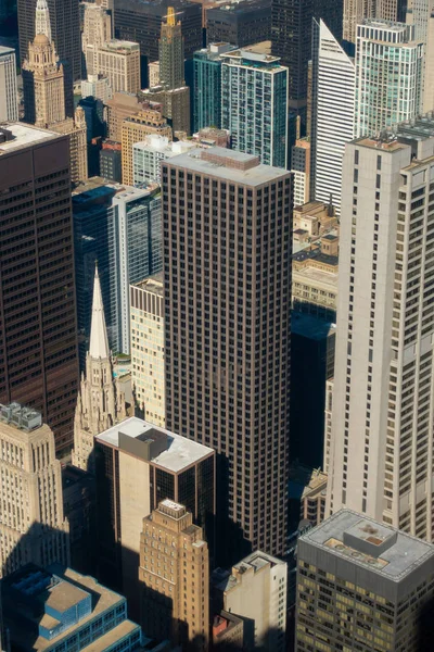 芝加哥摩天大楼鸟图 — 图库照片