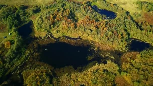Aerial krajobraz jezioro w lesie, latem — Wideo stockowe