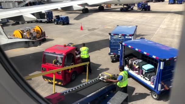 Pracownicy lotniska załadunek bagaży do samolotu — Wideo stockowe