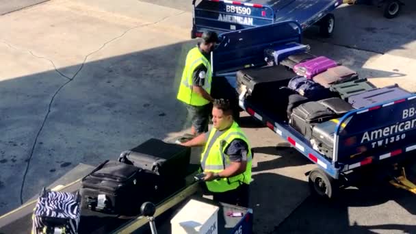 Luchthaven werknemers laden van de bagage naar het vliegtuig — Stockvideo