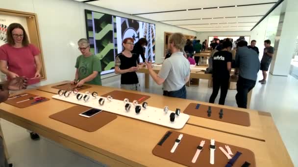 Apple Store no campus da empresa no vale do silicone, loop Infinity um — Vídeo de Stock