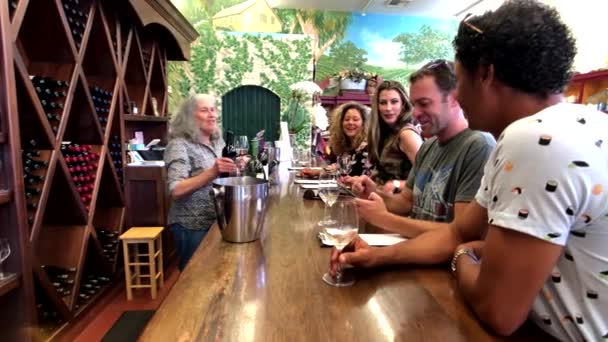Νάπα Ηπα Σεπτεμβρίου 2018 Άνθρωποι Γευσιγνωσία Κρασιού Στο Οινοποιείο — Αρχείο Βίντεο