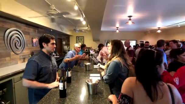 Gente degustando vino en bodega — Vídeos de Stock