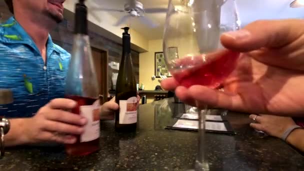 Pessoas degustando vinho na adega — Vídeo de Stock