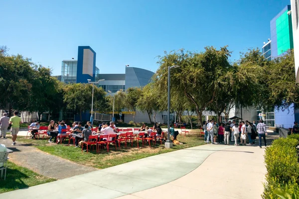 Employés travaillant à l'extérieur au siège social de Googleplex — Photo