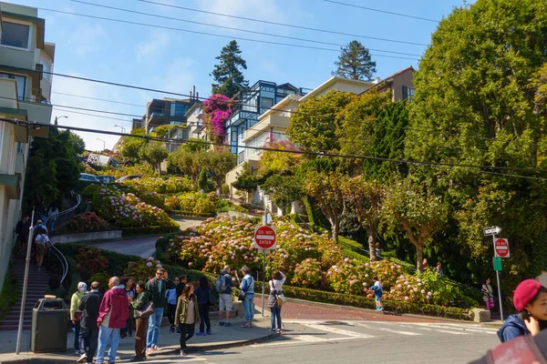 Popular touristic landmark Lombard street at sunny day time — Stock Photo, Image