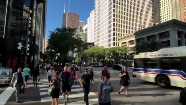 Tráfego na baixa e pontos turísticos em horário de dia ensolarado — Vídeo de Stock