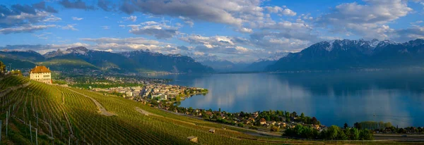 Vista superior a los viñedos cerca de Vevey en el lago Geneva —  Fotos de Stock
