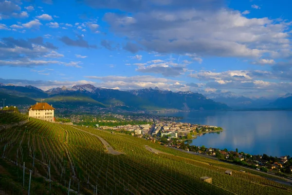 Widok z góry na winnice w pobliżu Vevey nad jeziorem Genewskim — Zdjęcie stockowe