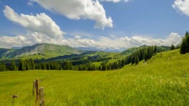 Yaz saati dağ doğa rezervasyon panoramik manzarası