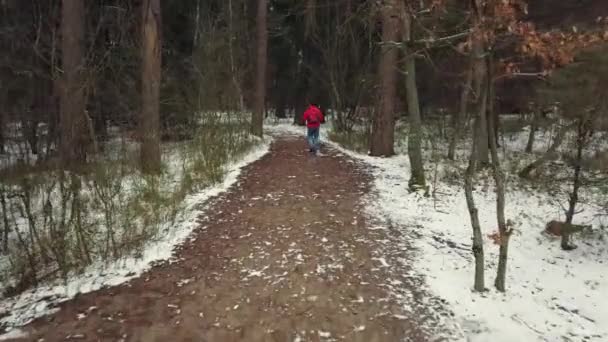 Homem de meia idade caminha Caminhada nórdica — Vídeo de Stock