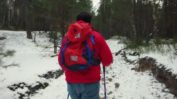 Hombre de mediana edad camina Nordic walking — Vídeo de stock
