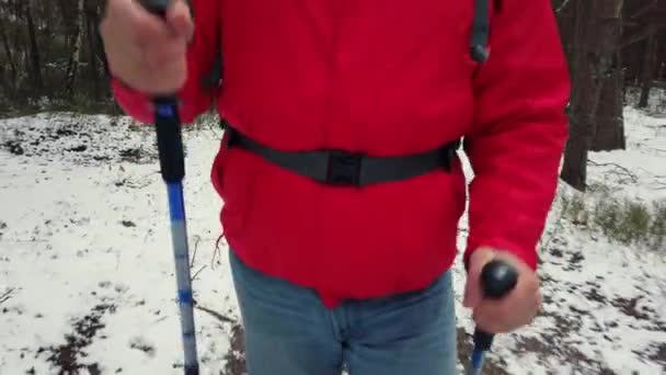 Homem de meia idade caminha Caminhada nórdica — Vídeo de Stock