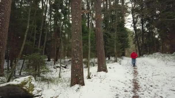 Mężczyzna w średnim wieku spacery Nordic Walking — Wideo stockowe