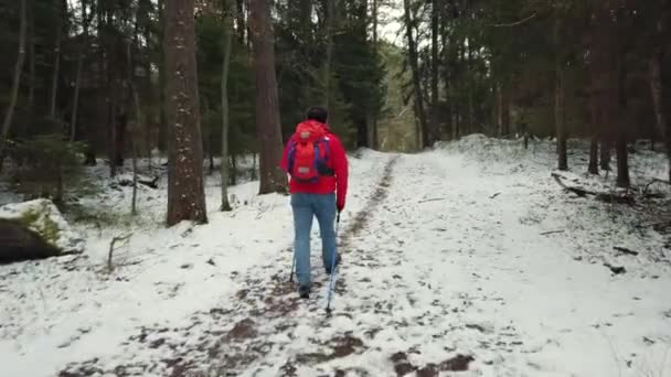 Людина середнього віку прогулянки нордичної ходьби — стокове відео