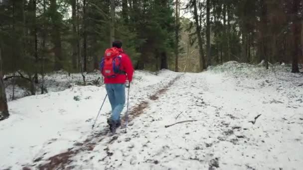 中年男性がノルディックウォーキングを歩く — ストック動画