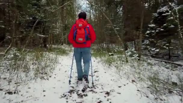 Muž středního věku kráčí severskou pěší chůzí — Stock video
