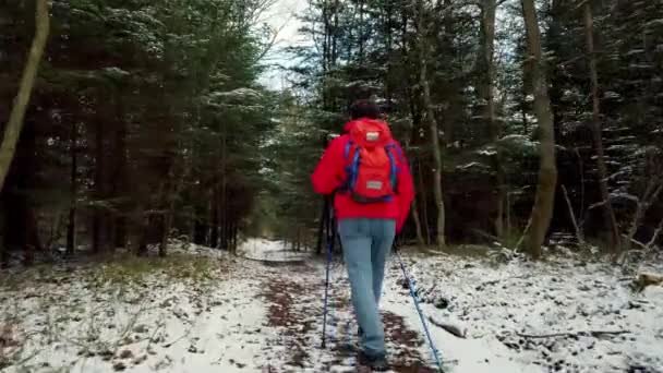 中年男性がノルディックウォーキングを歩く — ストック動画