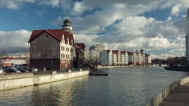 Fisk by i Kaliningrad city — Stockvideo