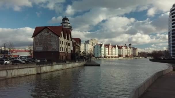 Fisk by i Kaliningrad city — Stockvideo