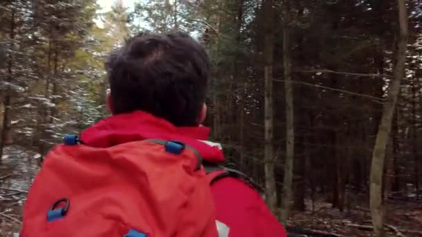 Homem de meia idade caminhante perdido em uma floresta — Vídeo de Stock