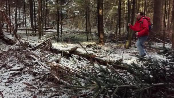 Middelbare leeftijd man wandelingen Nordic Walking — Stockvideo