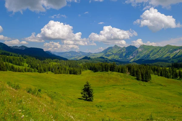 スイスの夏の時間の風景 — ストック写真