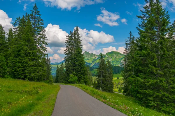 スイスの夏の時間の風景 — ストック写真