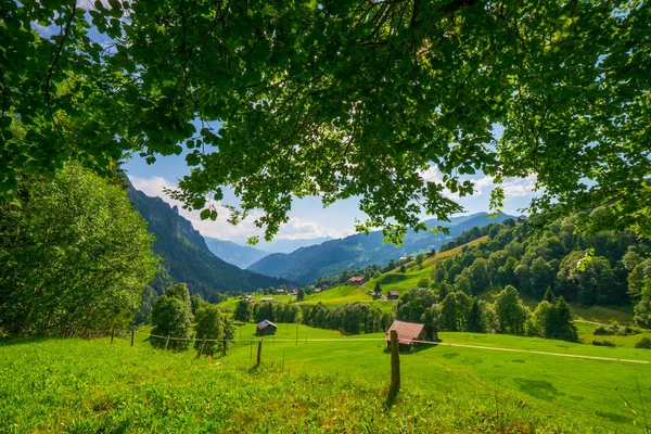 山农村瑞士夏天风景 — 图库照片