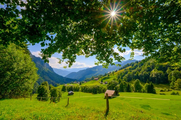 Ορεινή αγροτική Ελβετία καλοκαίρι τοπίο — Φωτογραφία Αρχείου