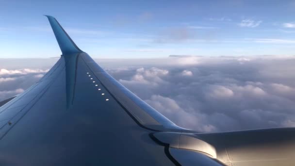 Avión volando sobre nubes — Vídeo de stock