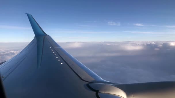 Avión volando sobre nubes — Vídeo de stock