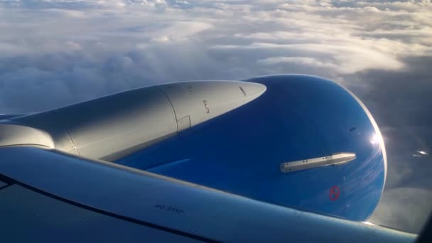 Flugzeug fliegt über Wolken — Stockvideo