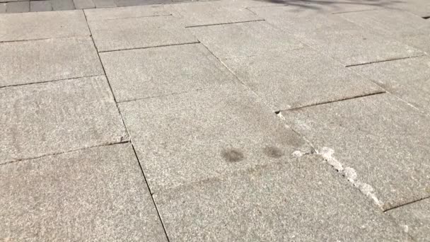Смартфон падает на улицу — стоковое видео
