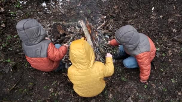 Kinderen maken een brand in het bos — Stockvideo